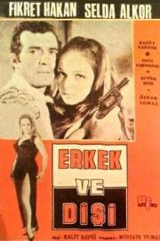 Erkek ve Dişi
