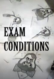 Exam Conditions