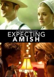 Expecting Amish