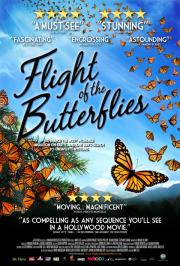 Flight of the Butterflies