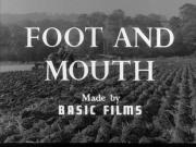 Foot and Mouth