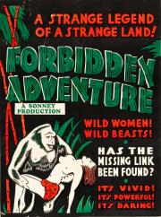 Forbidden Adventure