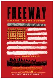 Freeway: Crack in the System