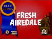 Fresh Airedale