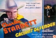 Gallant Defender