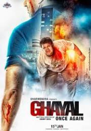 Ghayal Once Again