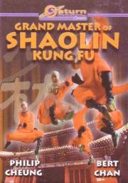 Grand Master of Shaolin Kung Fu