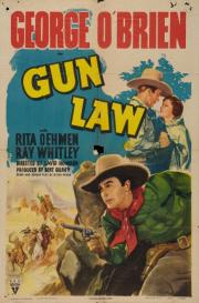 Gun Law