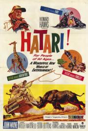 Hatari!