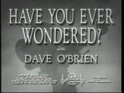 Have You Ever Wondered