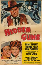 Hidden Guns