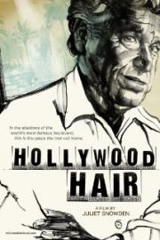 Hollywood Hair