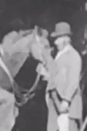 Horse Shoeing