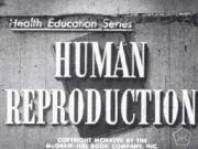 Human Reproduction