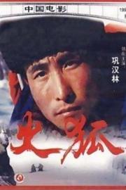 Huo hu