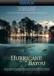 Hurricane on the Bayou