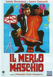 Il Merlo maschio