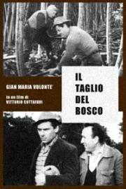 Il taglio del bosco