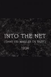 Into the Net