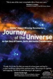 Journey of the Universe