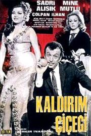 Kaldirim Çiçeği