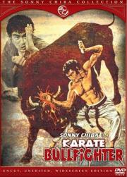 Karate Bullfighter