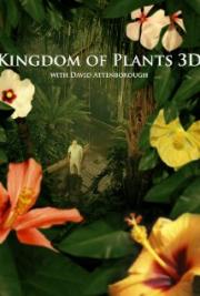 Kingdom of Plants 3D