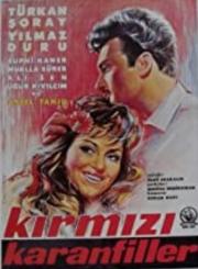 Kırmızı Karanfiller