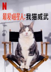 Kitty Love: An Homage to Cats