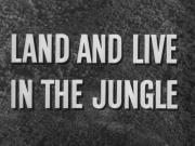 Land and Live in the Jungle