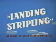 Landing Stripling
