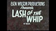 Lash of the Whip