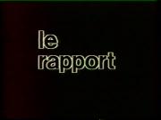 Le Rapport Darty