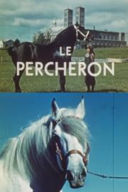 Le percheron