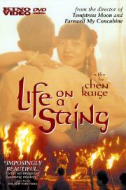 Life on a String