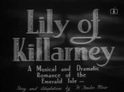 Lily of Killarney