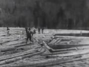 Logging in Maine