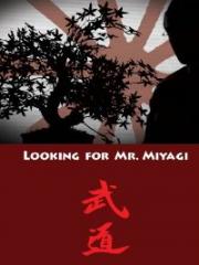 Looking for Mr. Miyagi