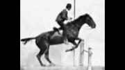 Man Riding Jumping Horse