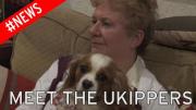 Meet the Ukippers