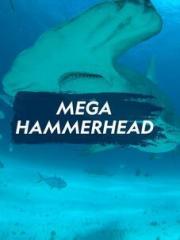 Mega Hammerhead