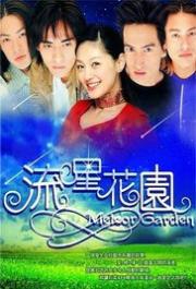 Meteor Garden