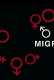 Migration