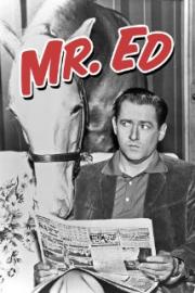 Mister Ed