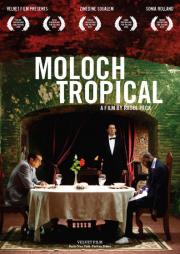 Moloch tropical