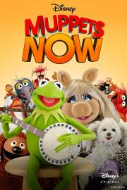 Muppets Now