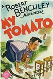 My Tomato