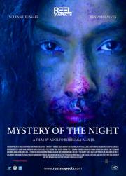 Mystery of the Night