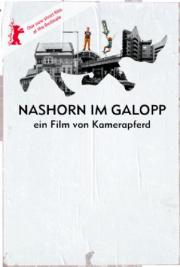 Nashorn im Galopp