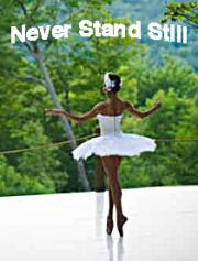 Never Stand Still